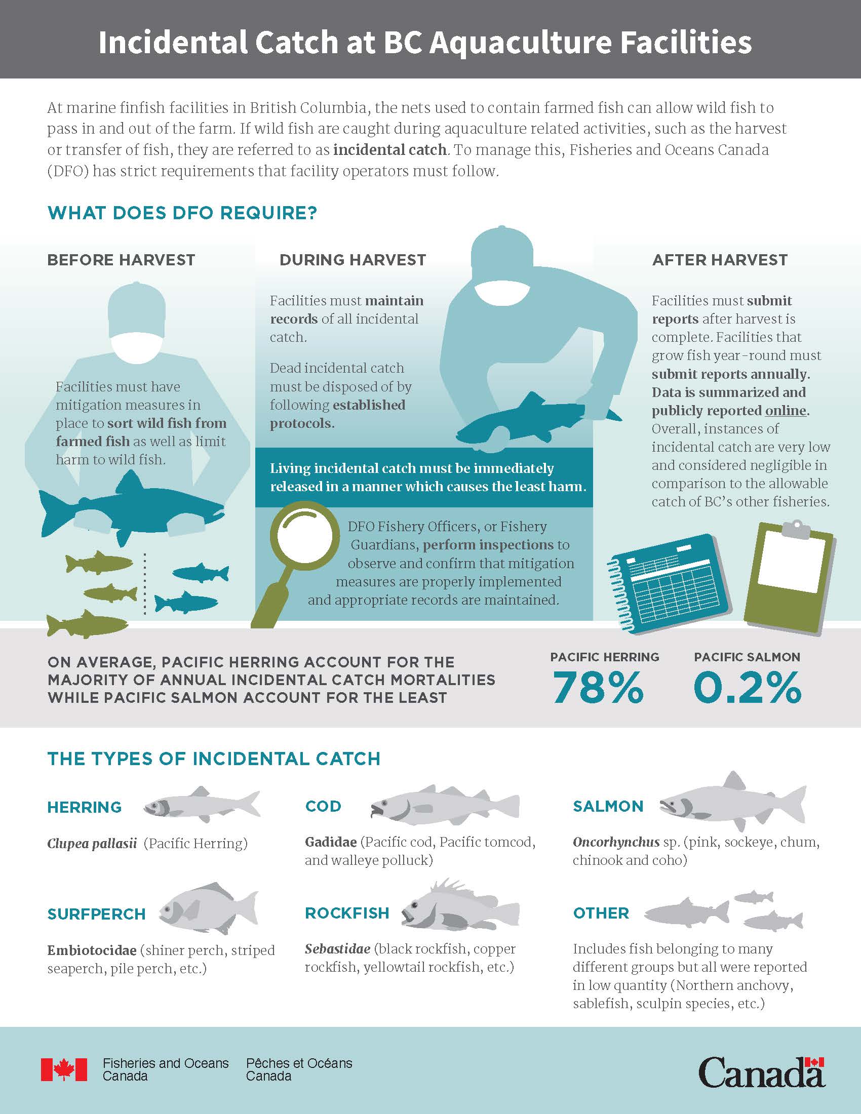 Infographic: Incidental catch at BC aquaculture facilities