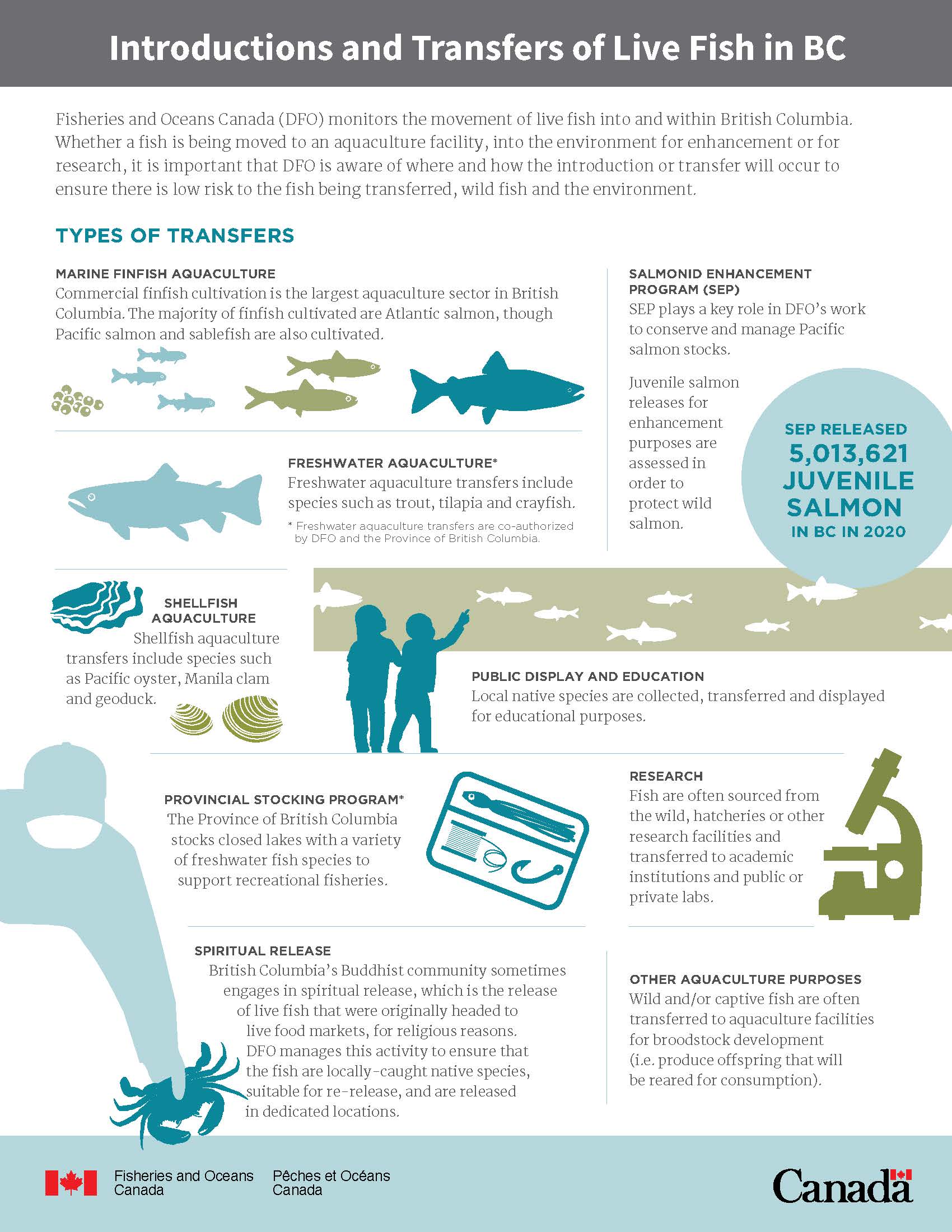Infographic: Introductions and Transfers of live fish in BC (page 1)