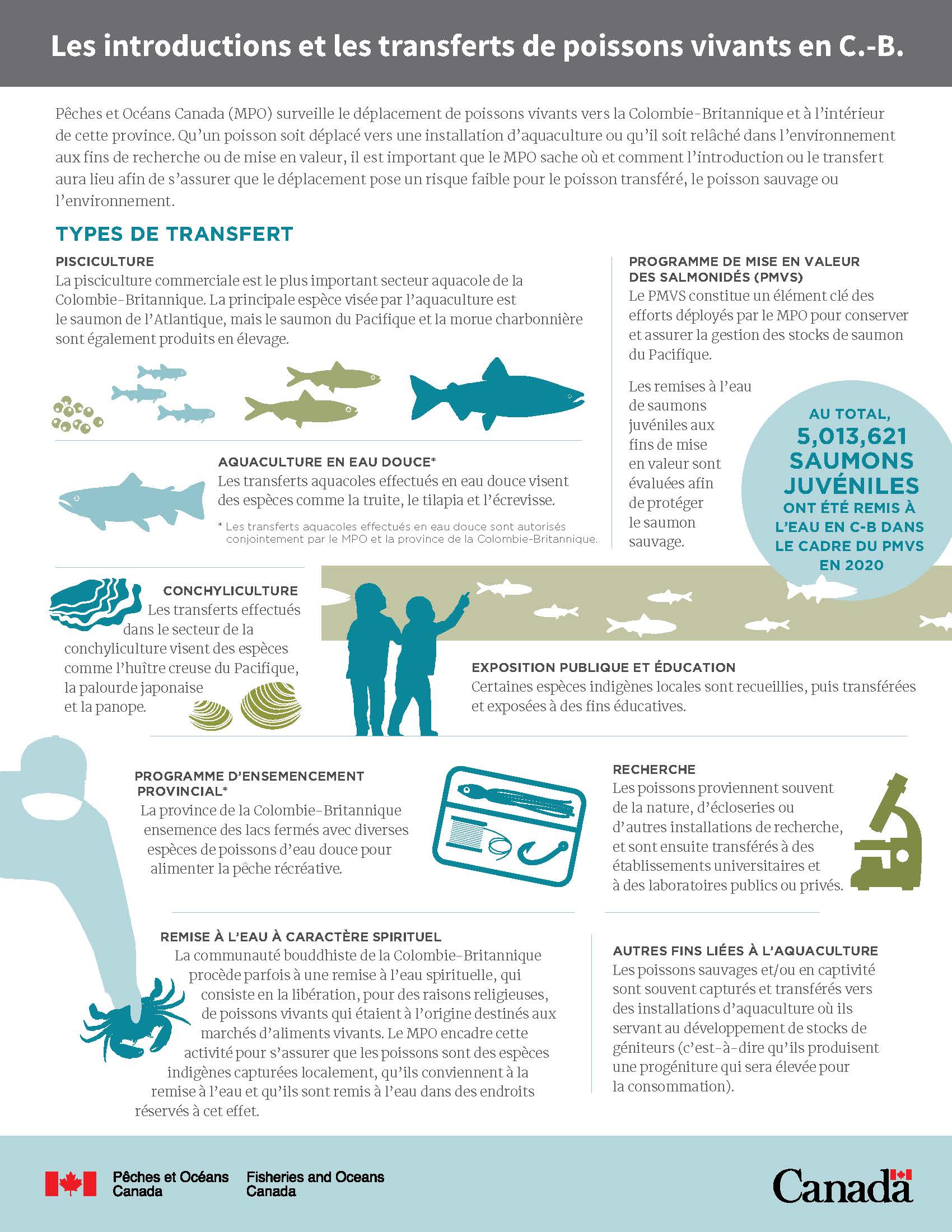 Infographie : Les introductions et les transferts de poissons vivants en la Colombie-Britannique (page 1)