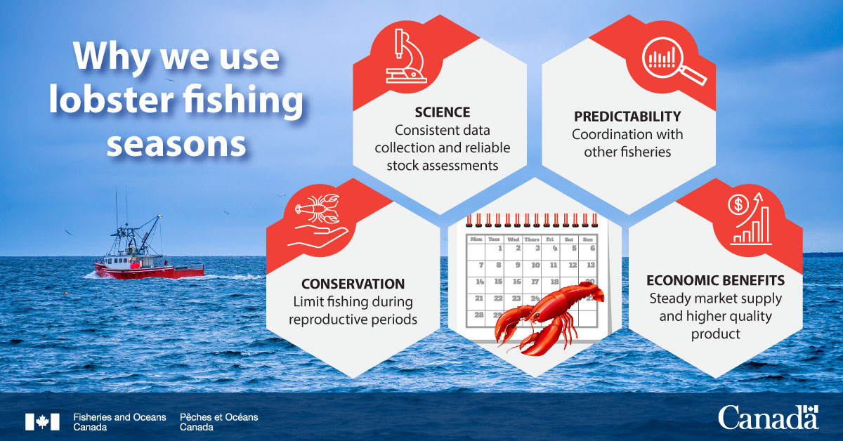 Fishing seasons for inshore lobster fisheries