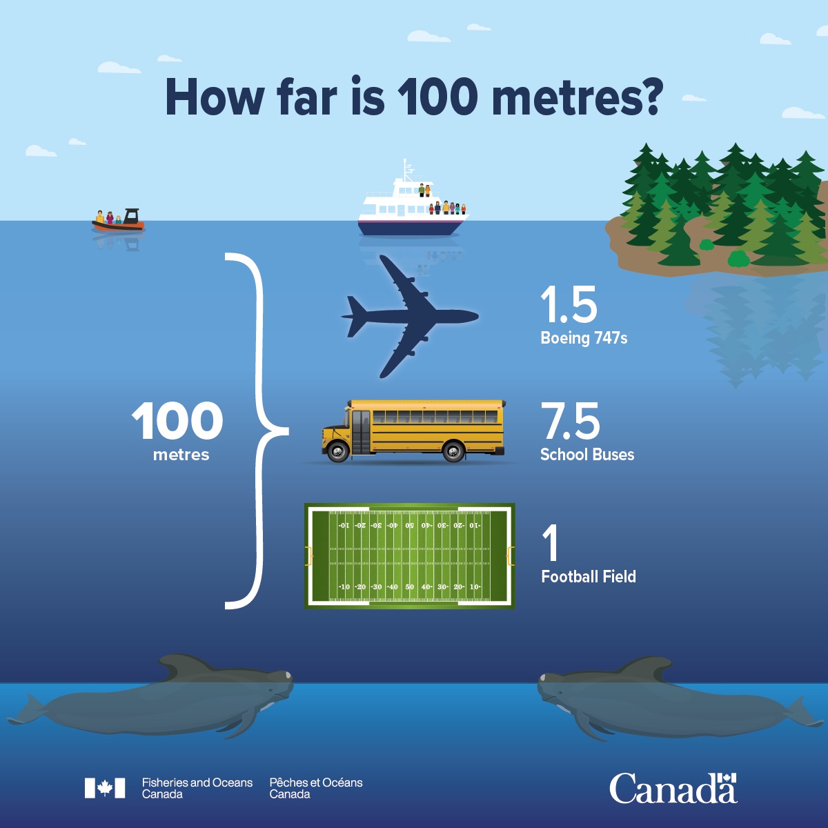 Infographic: How far is 100 metres?