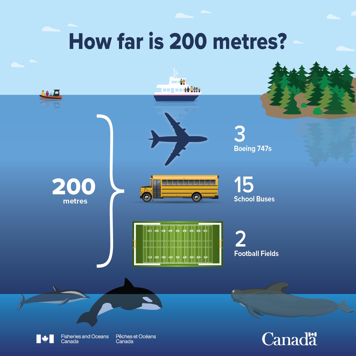 Infographic: How far is 200 metres?