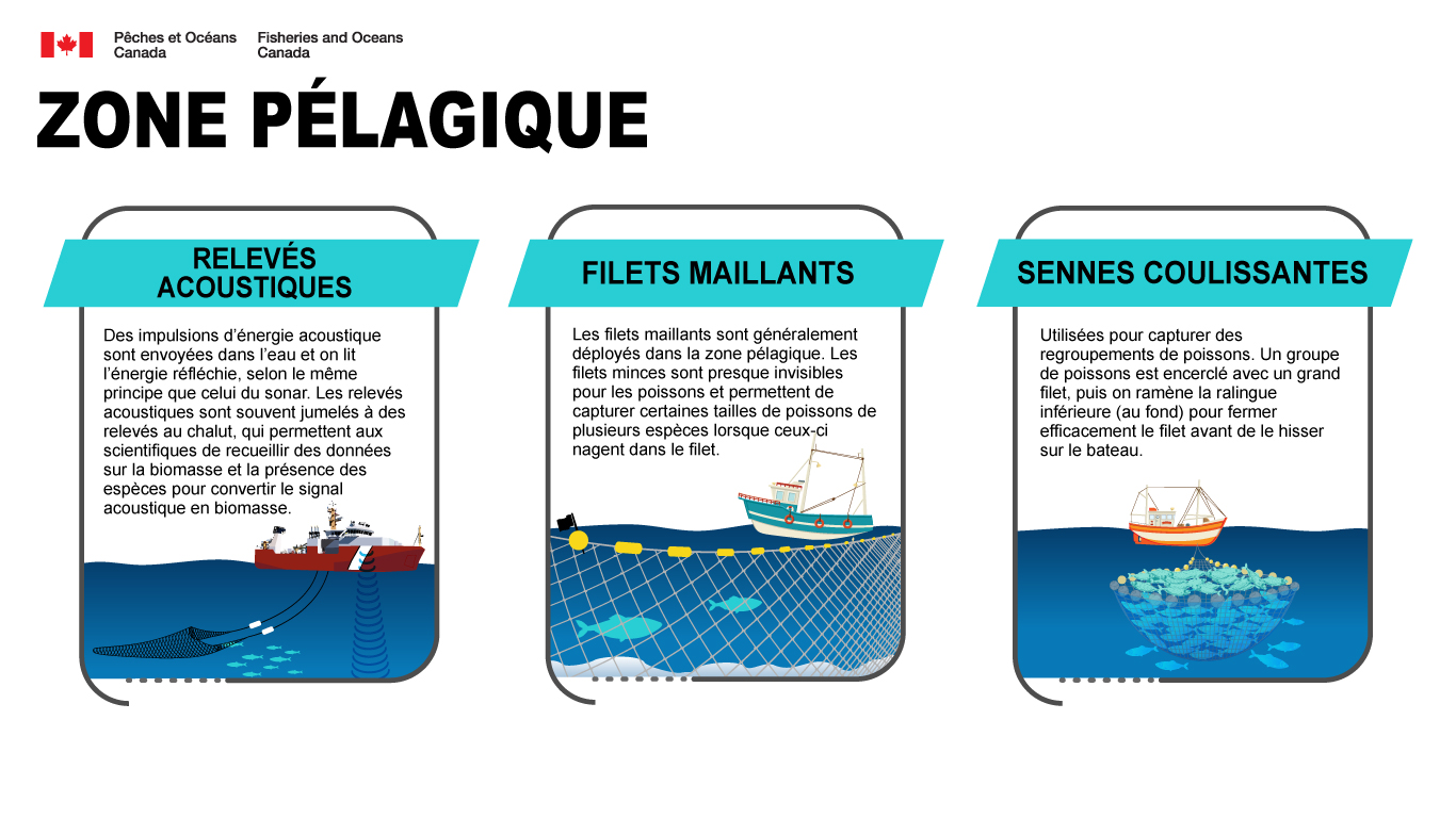 Infographie : Des données à la décision