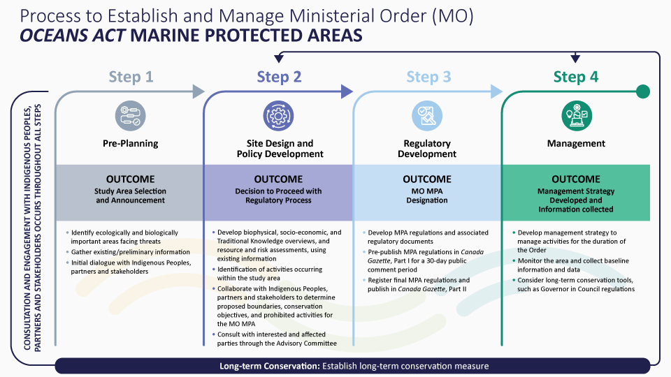 Infographic: Process to establish and manage ministerial order (MO) Oceans Act Marine Protected Areas