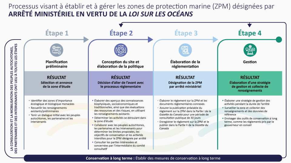 Infographie : Processus visant à établir et à gérer les zones de protection marine (ZPM) désignées par arrêté ministériel en vertu de la Loi sur les océans