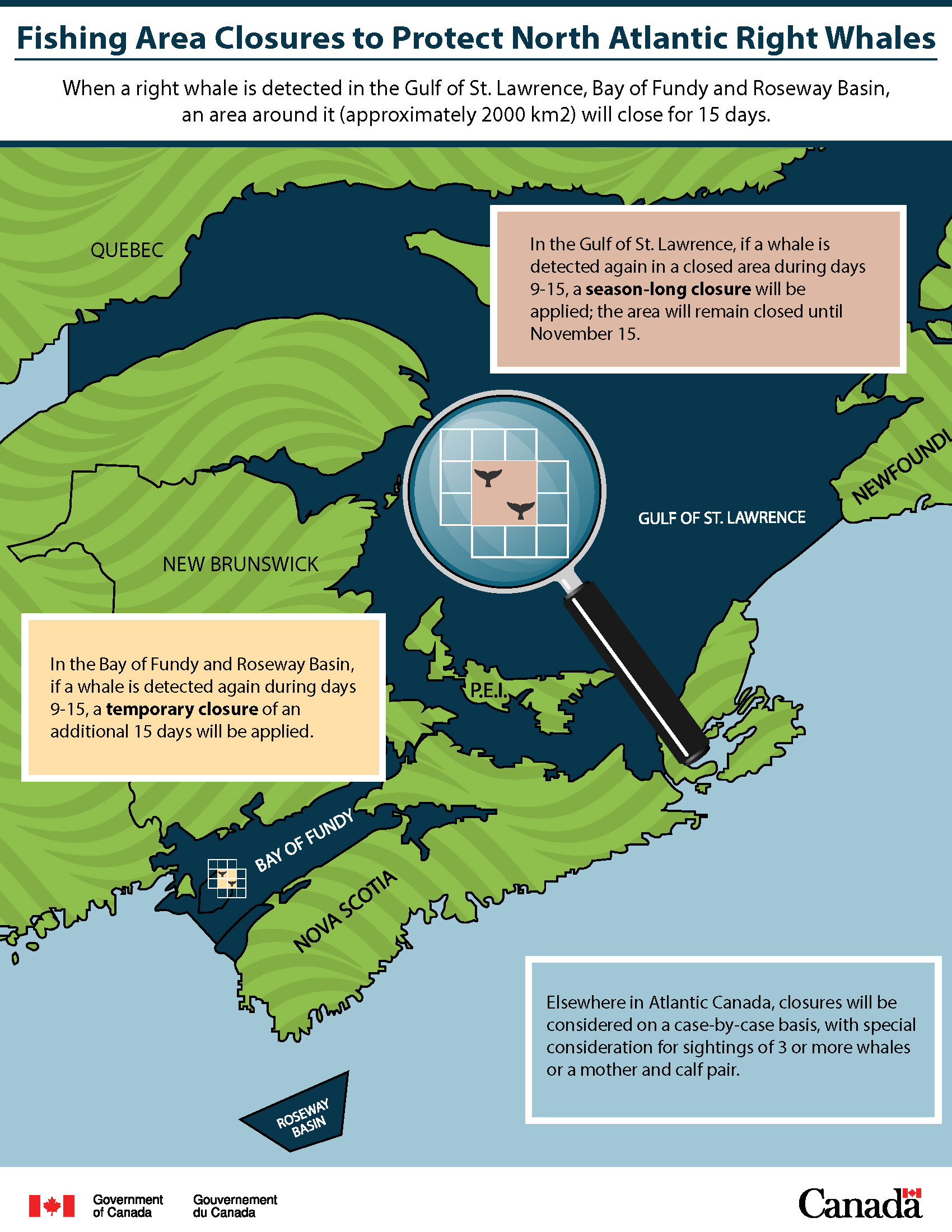 Infographic: Fishing area closures to protect North Atlantic right whales