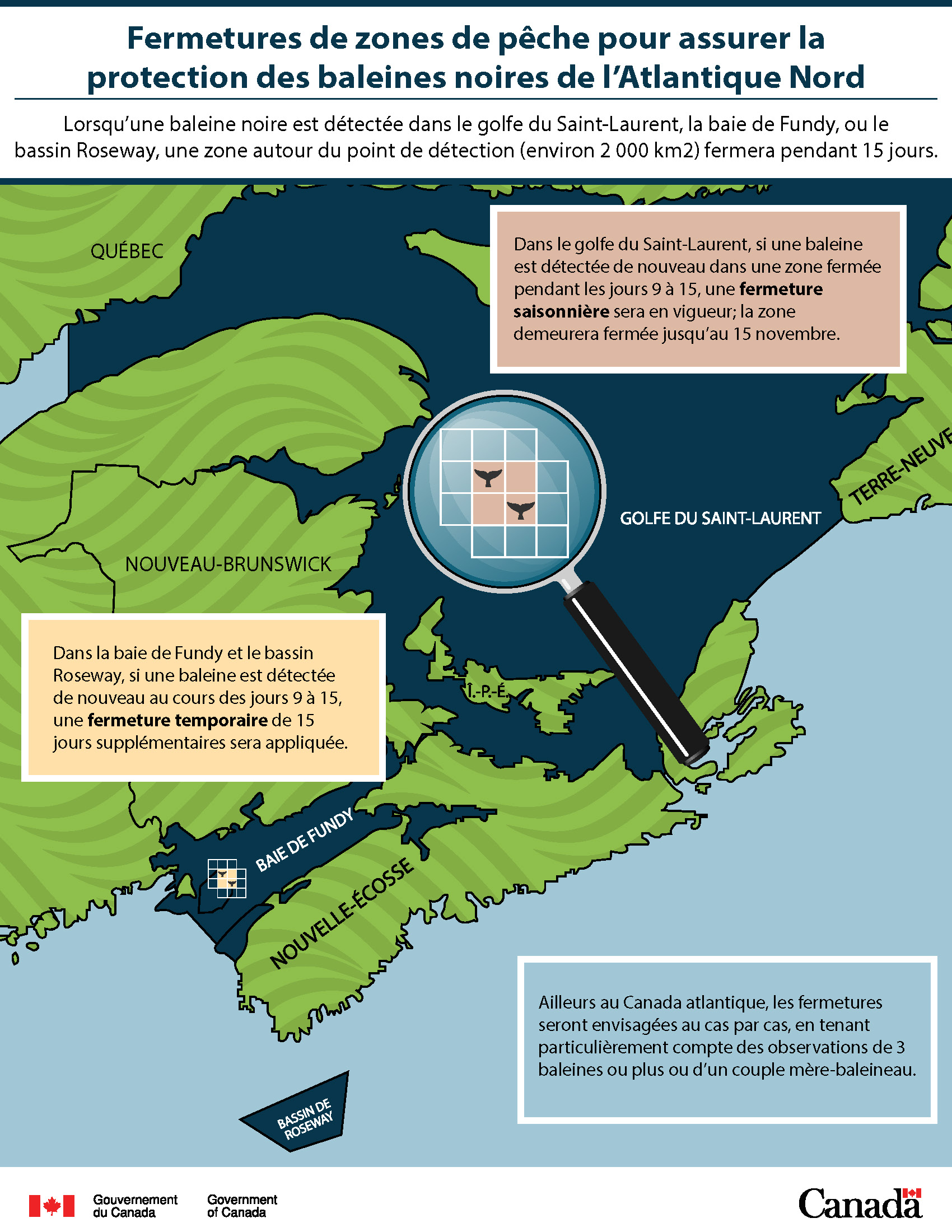 Infographie: Fermetures de zones de pêche pour assurer la protection des baleines noires de l'Atlantique Nord