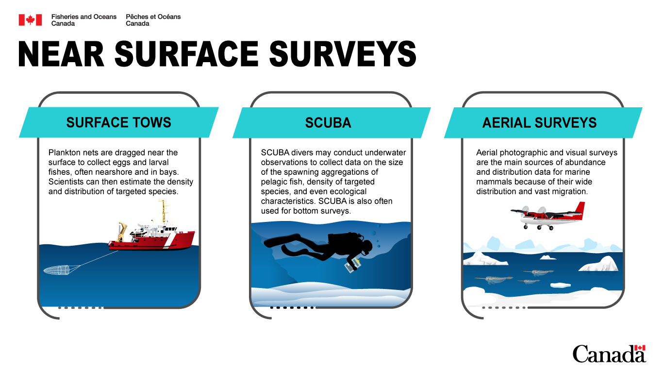 An infographic depicting survey methods that happen at or near the surface of the water.