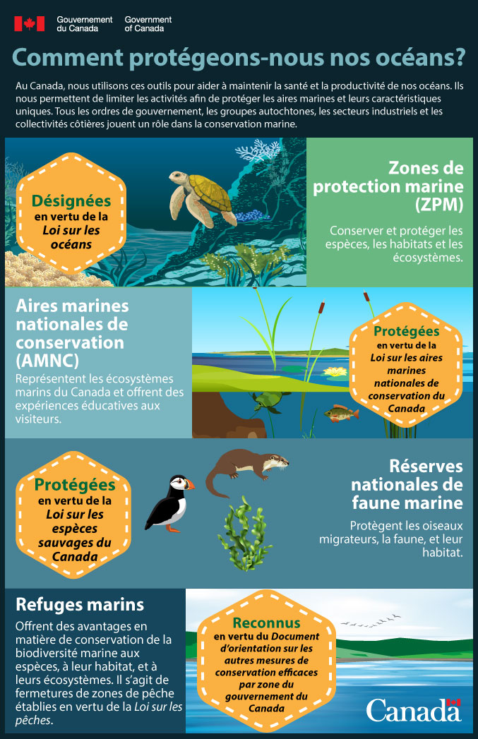 Infographie : Comment protégeons-nous nos océans?