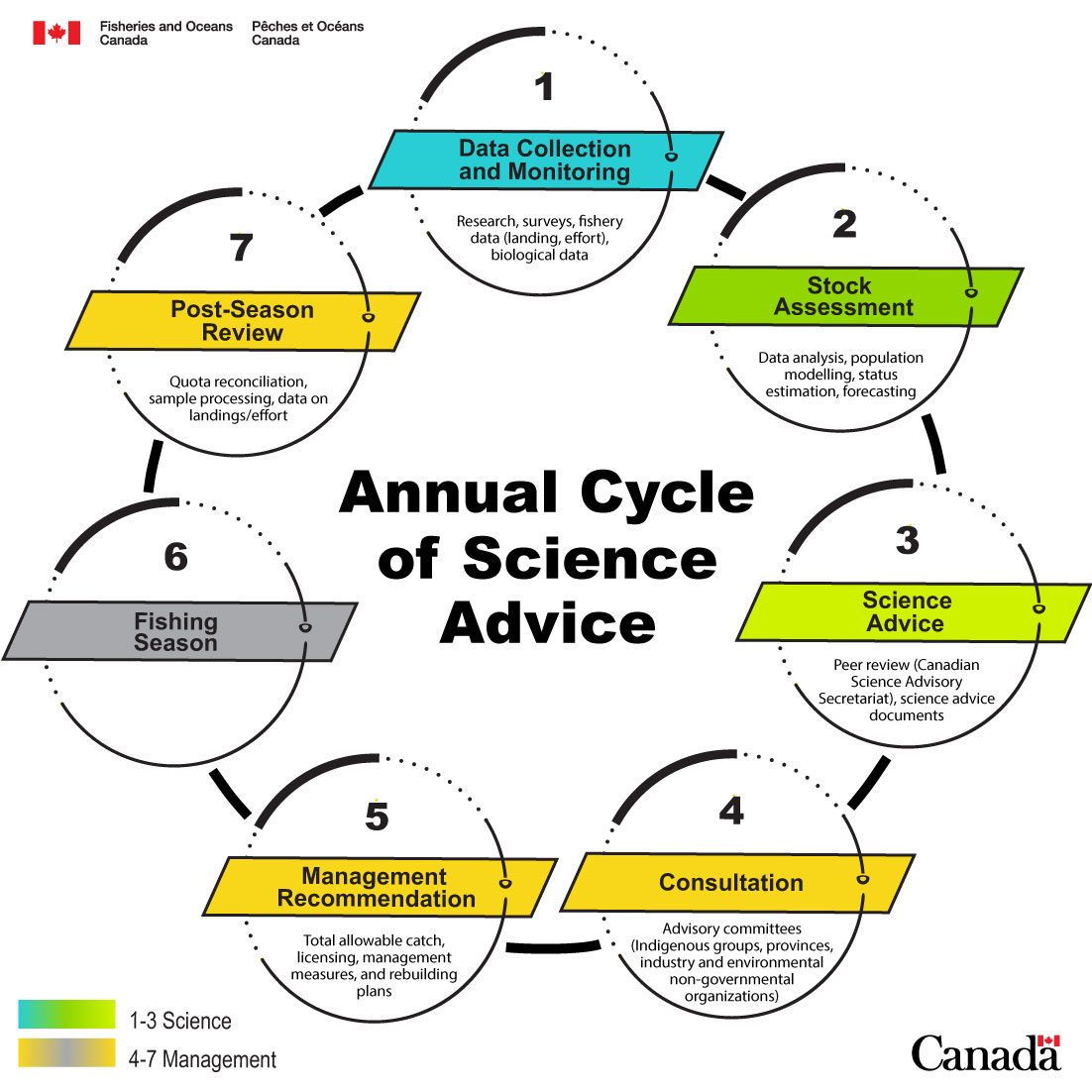 An infographic depicting the cycle of science advice for fisheries management.
