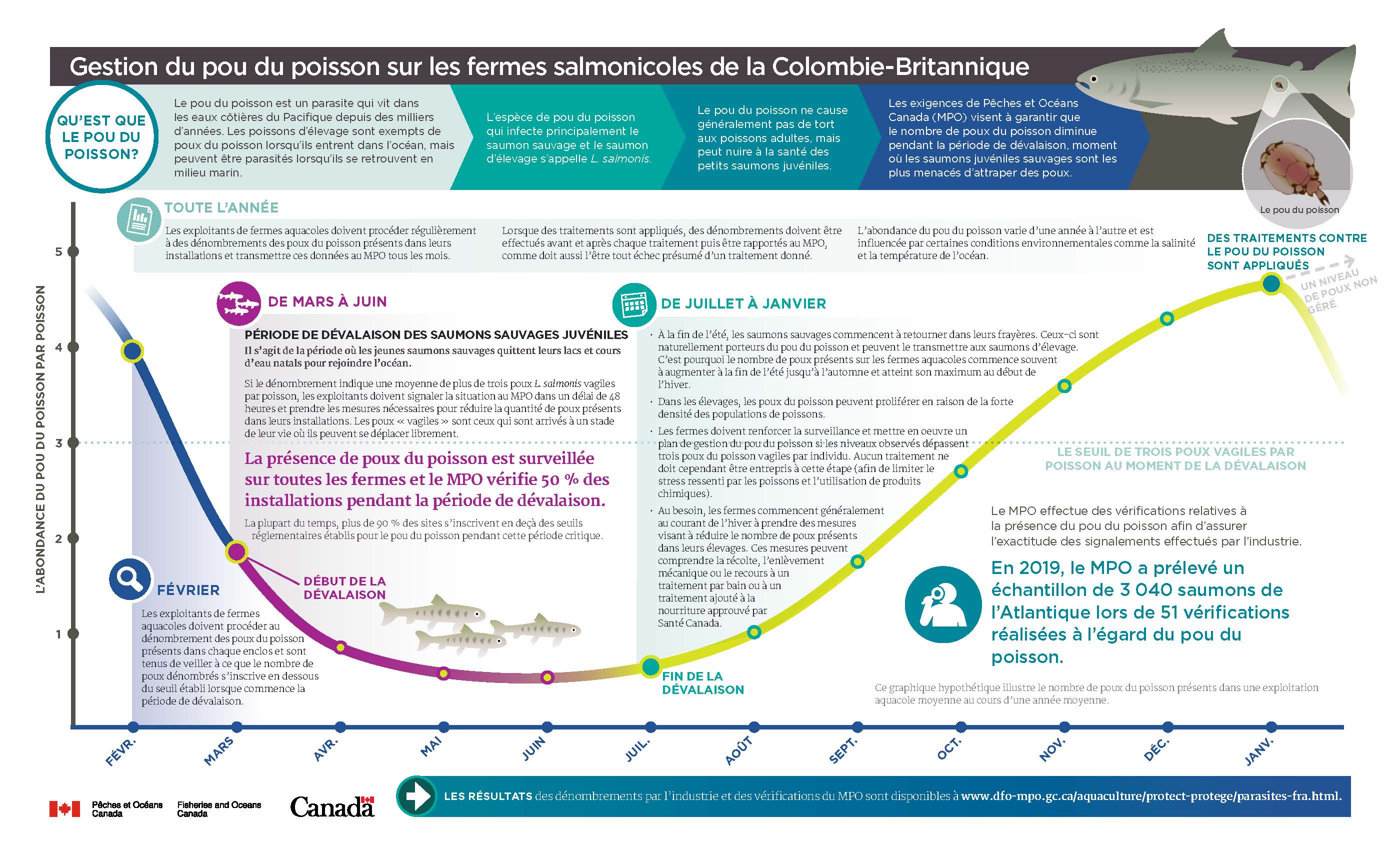 Infographie : Gestion du pou du poisson aux fermes salmonicoles de C.-B.