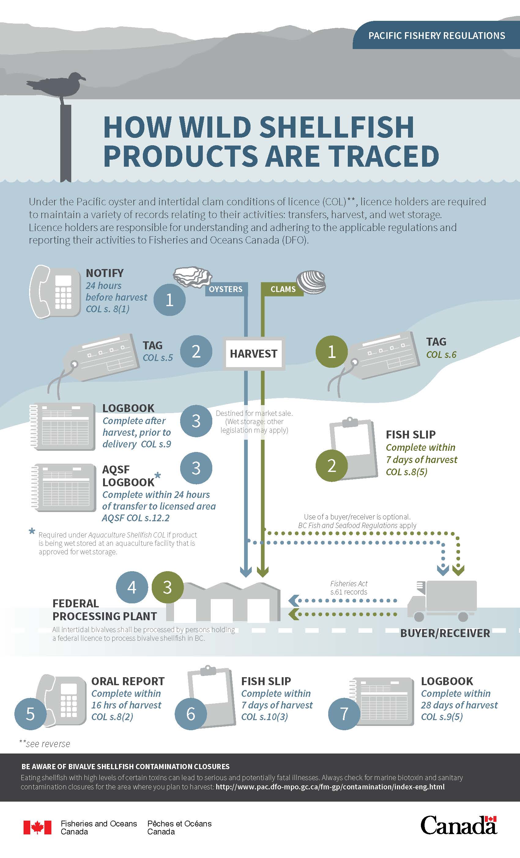 Infographic: How wild Pacific shellfish products are traced