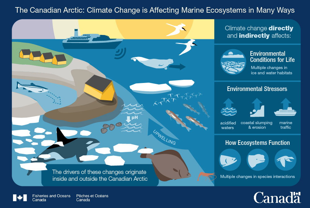 Infographic 2: Climate change is affecting marine ecosystems in many ways