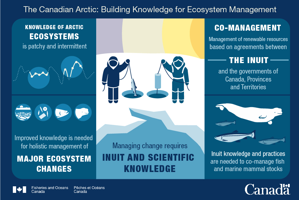 Infographic 3: Building knowledge for ecosystem management