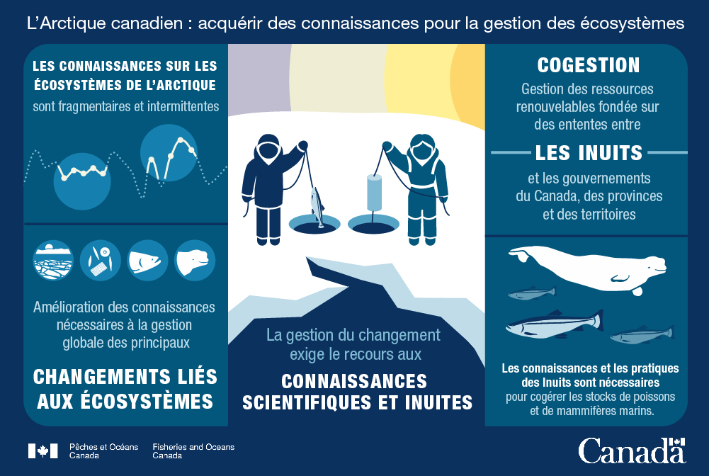 3. L'Arctique canadien : Acquérir des connaissances pour la gestion des écosystèmes