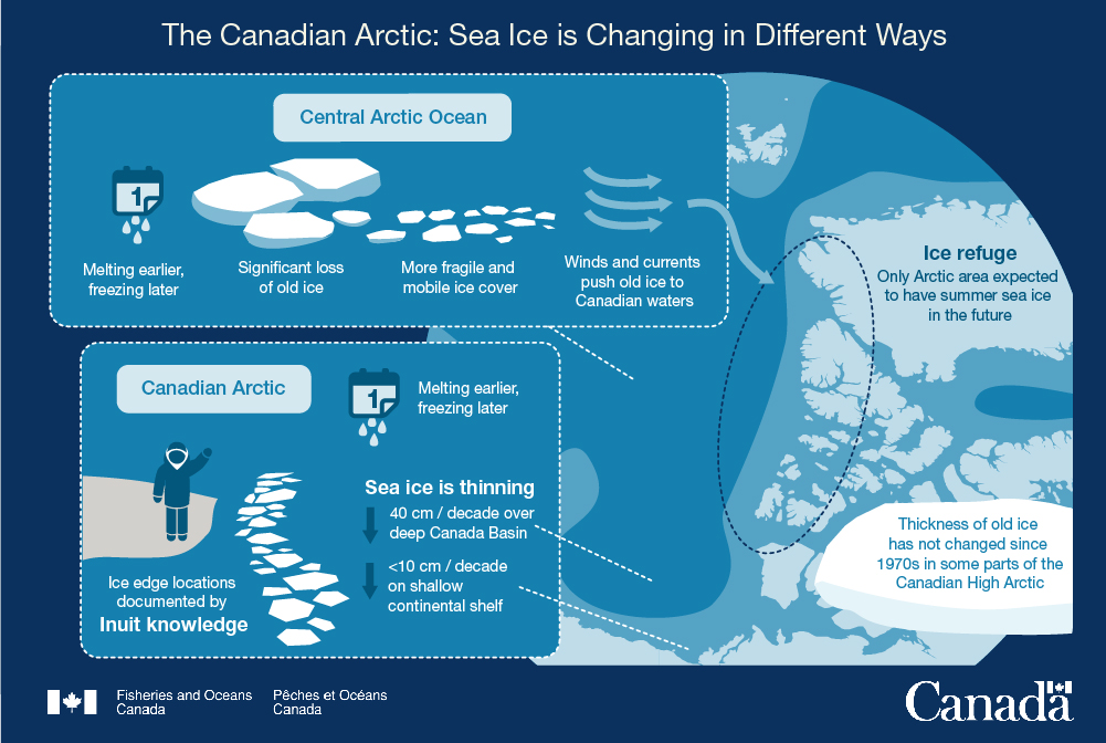 Infographic 4: Sea ice is changing in different ways