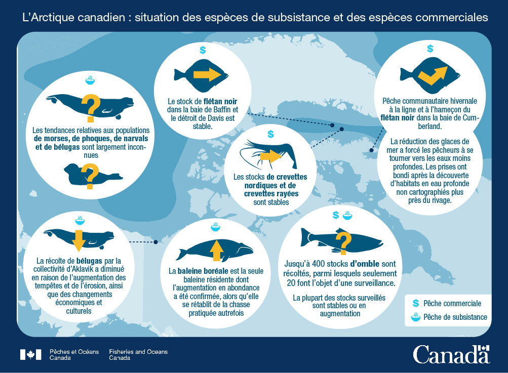 8.	L'Arctique canadien : Situation des espèces de subsistance et des espèces commerciales
