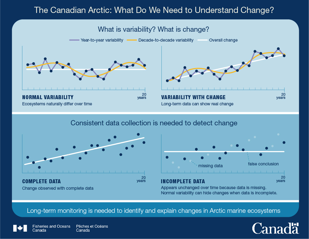 Infographic 9: What do we need to understand change