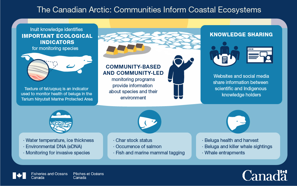 Infographic 11: Communities inform coastal ecosystems
