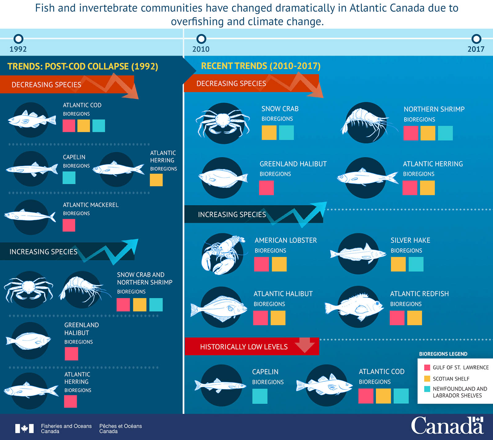 Infographic: Rise and Fall of Fish and Invertebrates