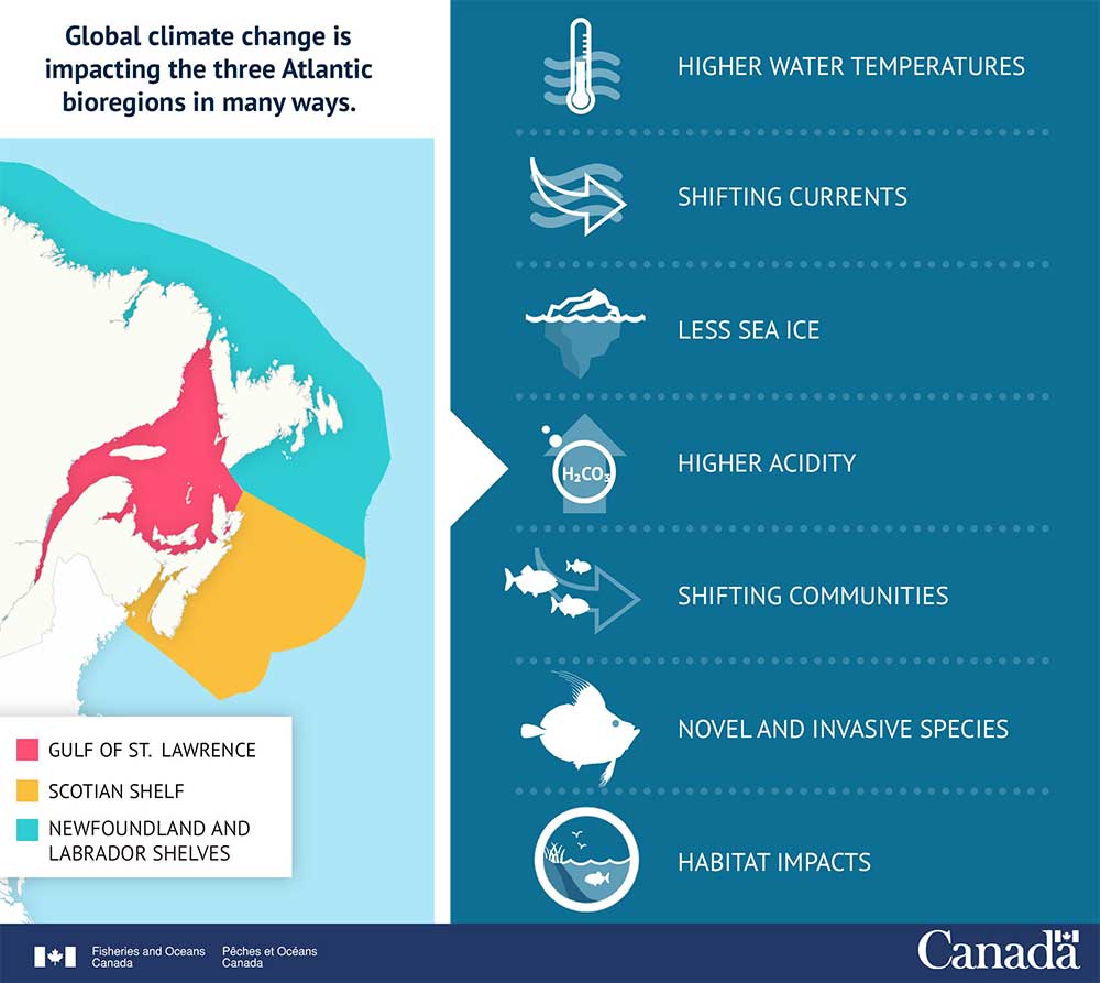 Infographic: Tracking Change in the Atlantic
