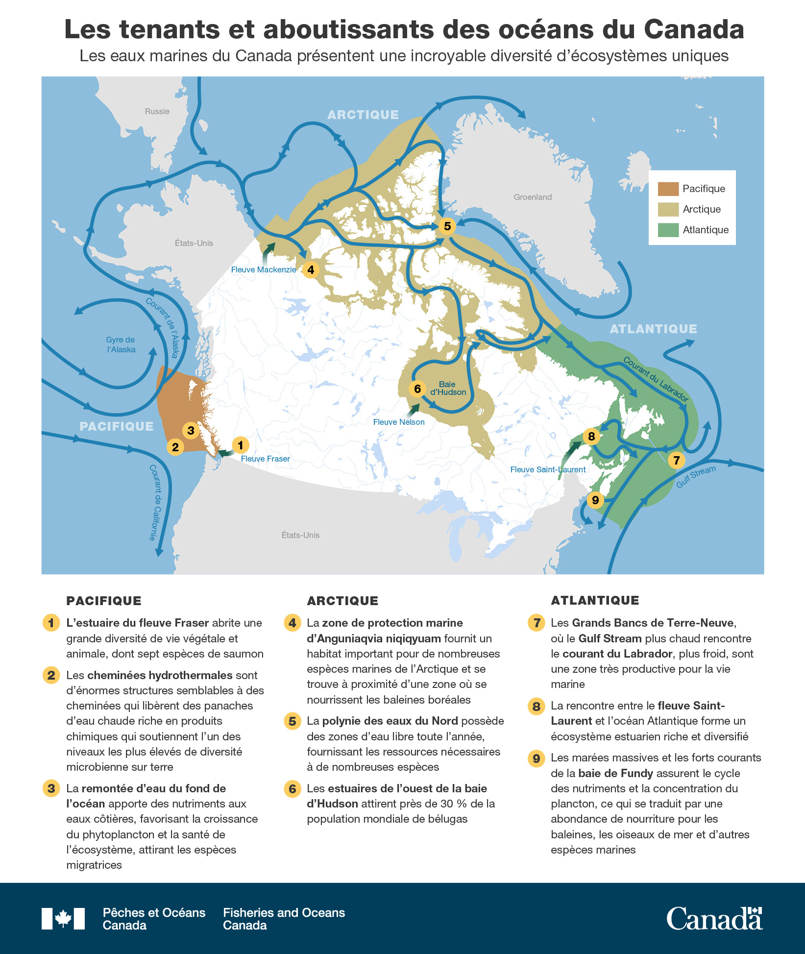 Infographie : Va-et-vient dans les océans du Canada