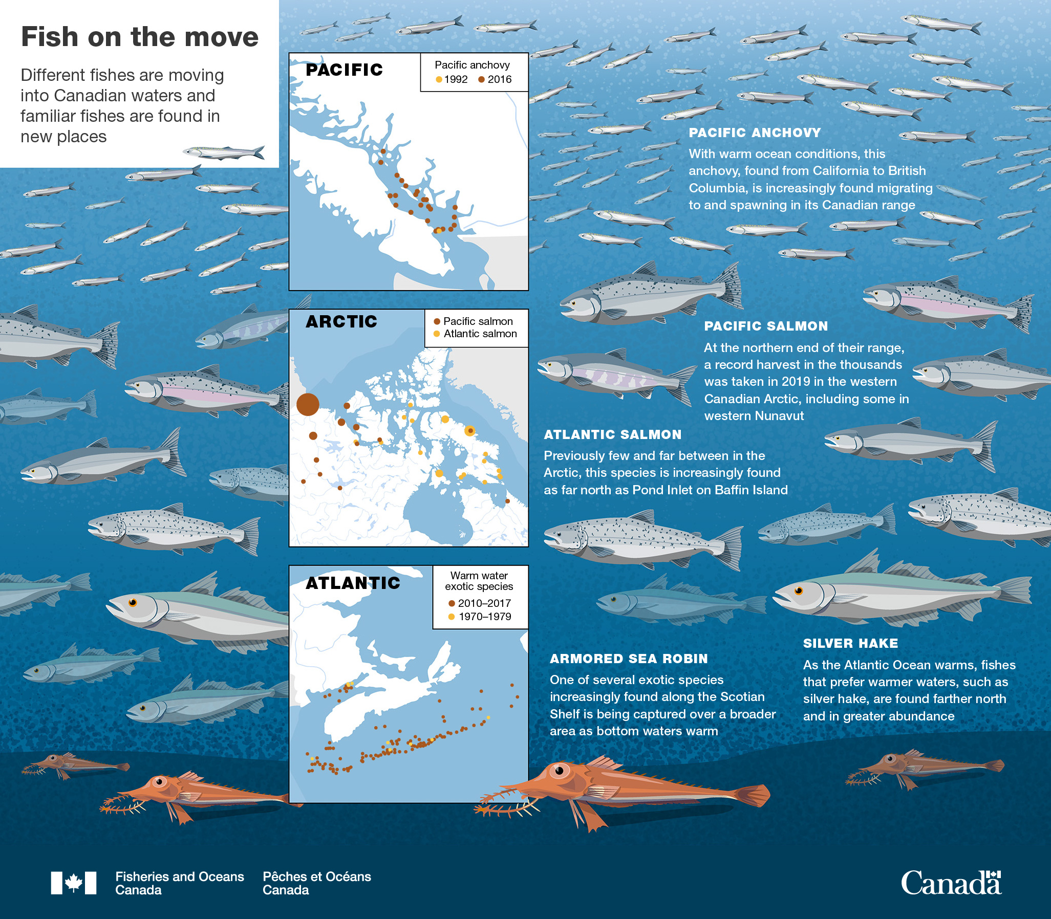 Infographic: Fish on the move
