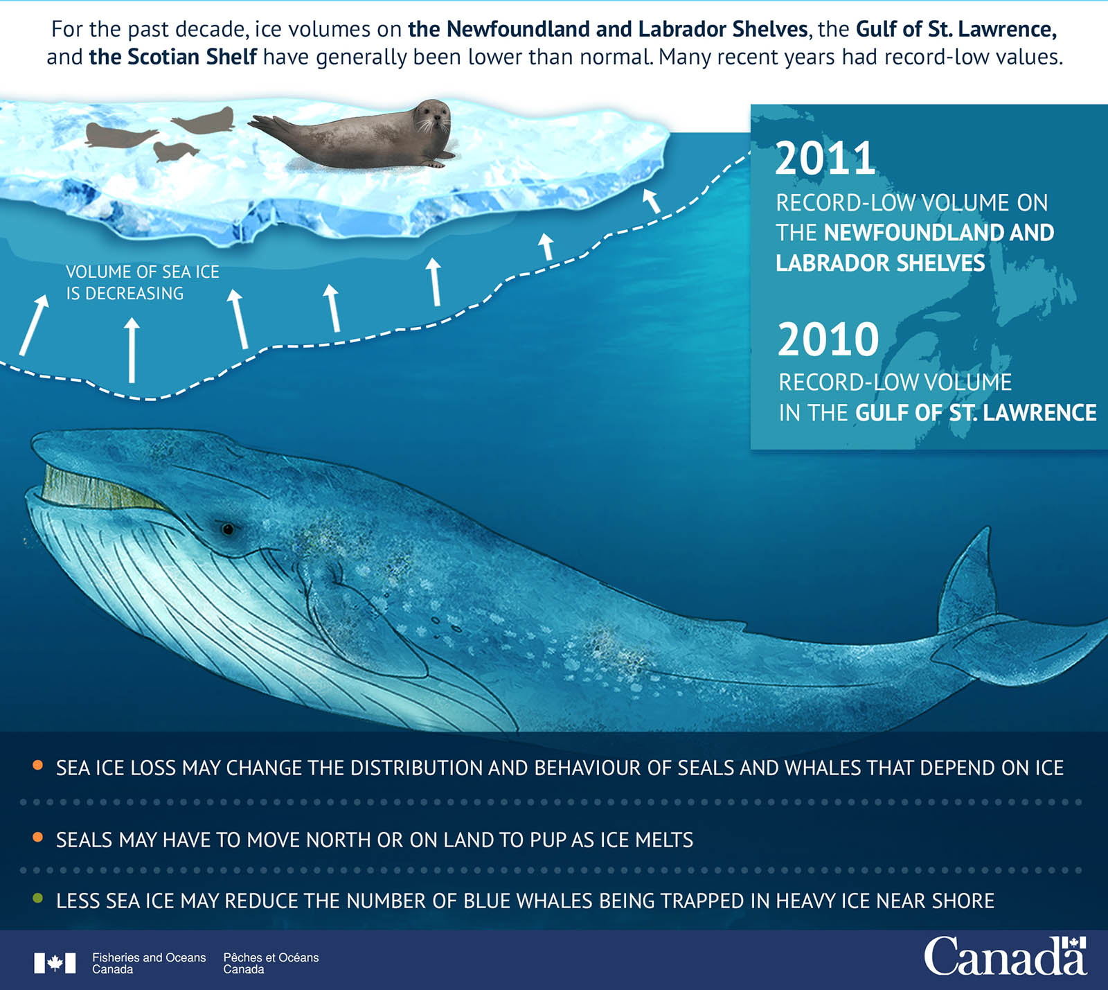 Infographic: Sea Ice Loss