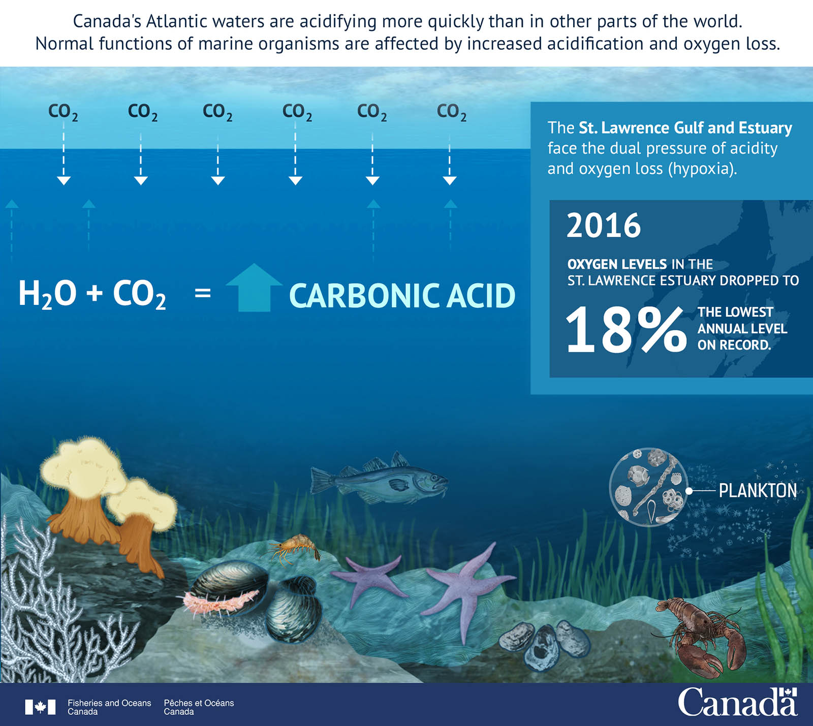 Infographic: Acidity is Up