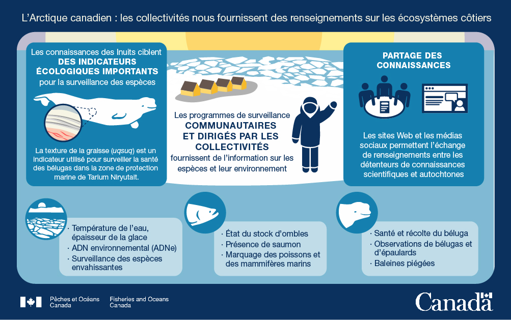 11. L'Arctique canadien : Les collectivités nous fournissent des renseignements sur les écosystèmes côtiers