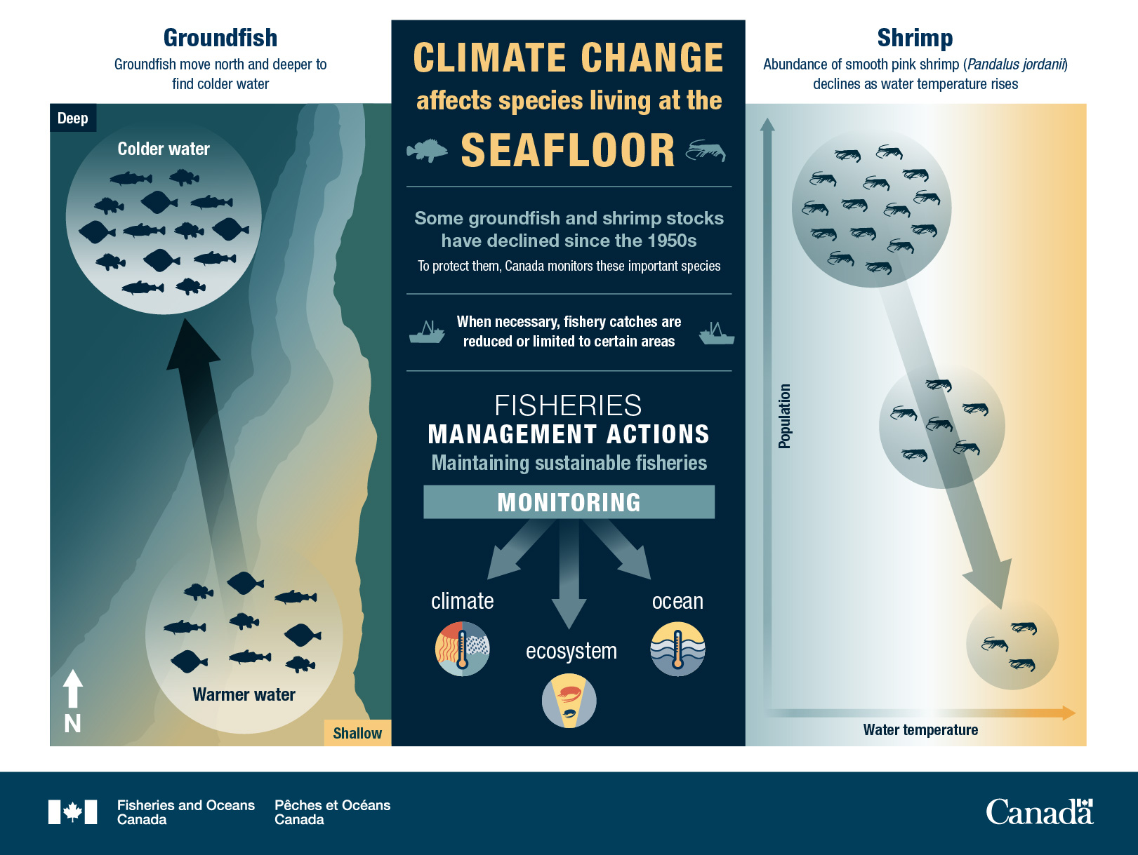 Infographic: Climate change affects species living at the seafloor
