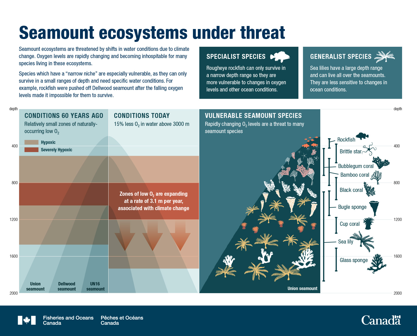 Canada’s Oceans Now, Pacific Ecosystems 2021 - Seamount ecosystems under threat