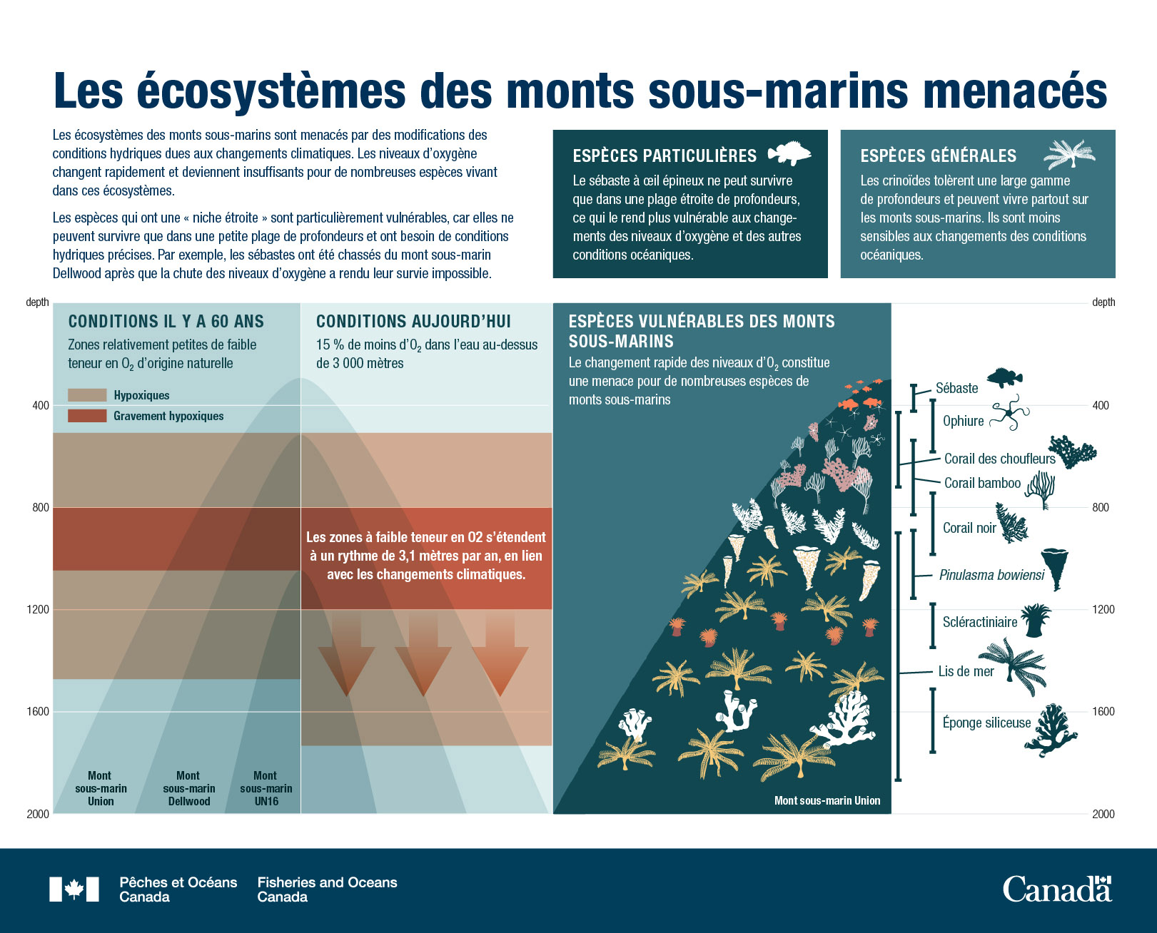 Écosystèmes de monts sous-marins menacés