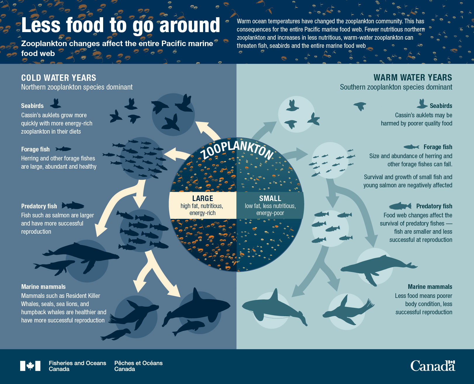 Canada’s Oceans Now, Pacific Ecosystems 2021 - Less food to go around