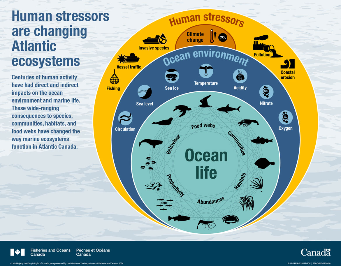 Infographic: Human stressors are changing Atlantic ecosystems