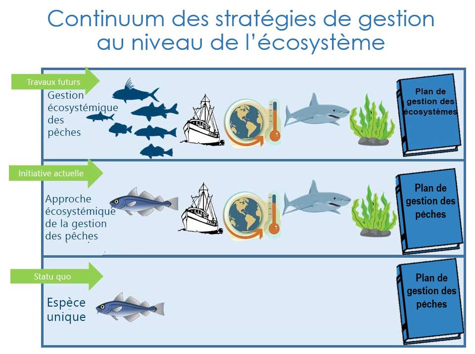 Infographie décrivant le continuum des stratégies de gestion au niveau de l'écosystème