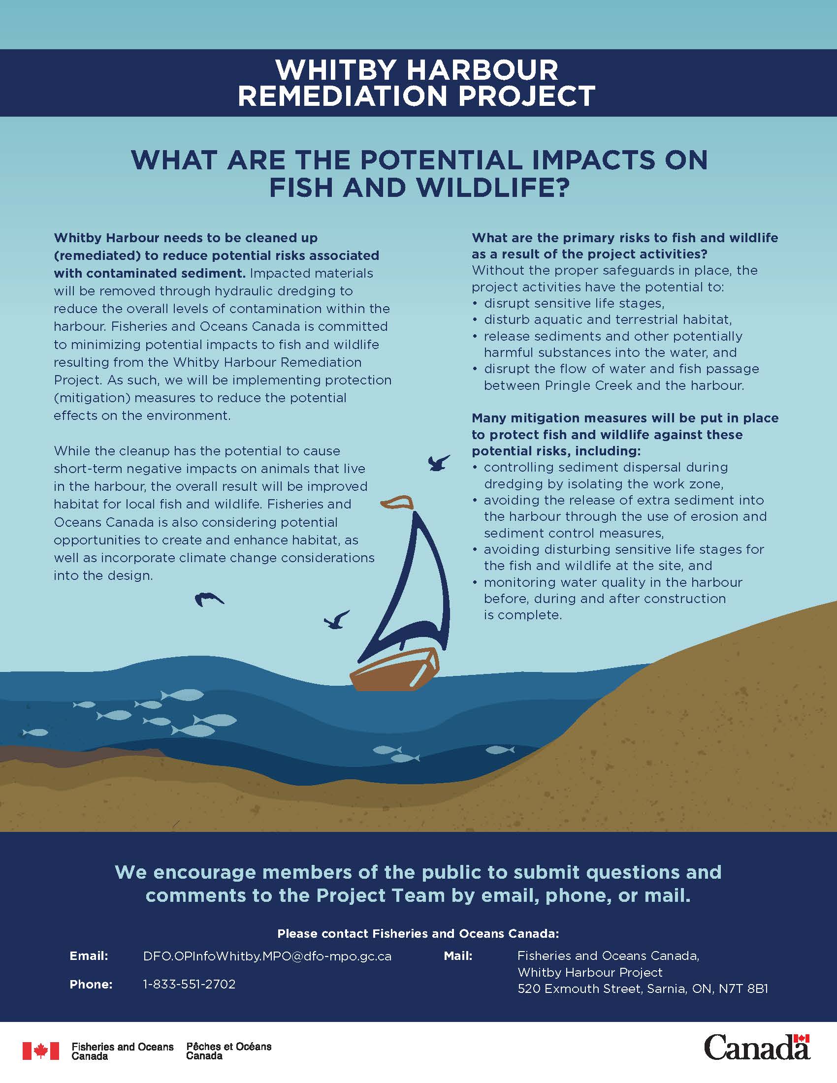 Infographic: What are the potential project impacts on fish and wildlife at Whitby Harbour?
