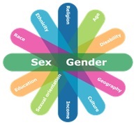 Gender-Based Analysis Plus graphic. Description follows.