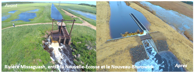 voir description plus bas
