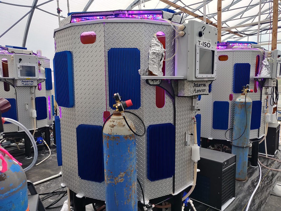 Side view of installed photobioreactor used for phytoplankton production