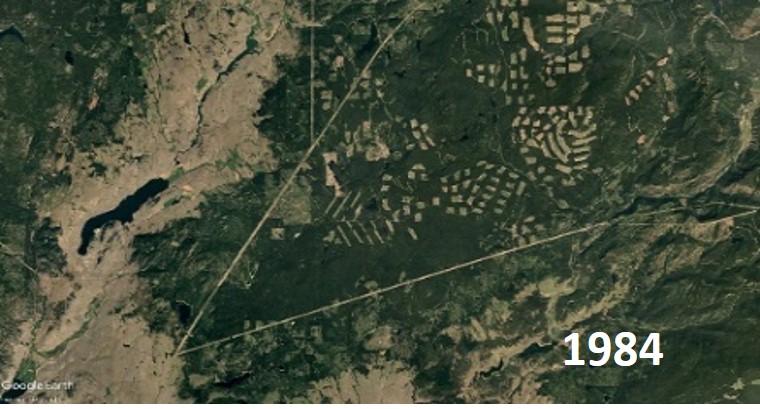 La déforestation découlant de l’épidémie de dendroctone du pin et des pratiques d’exploitation forestière subséquentes au sud de Kamloops, au Royaume-Uni.C en 1984.