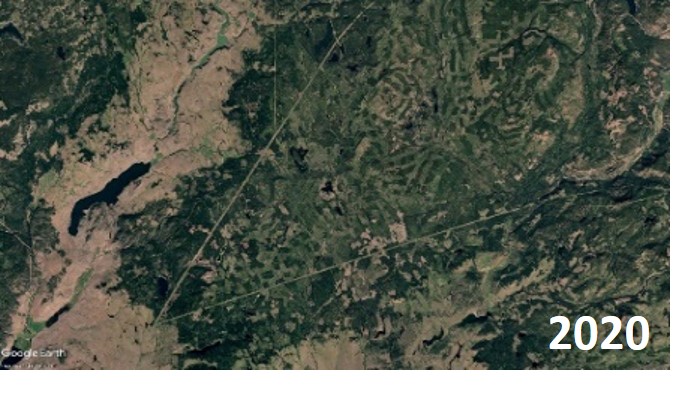 La déforestation découlant de l’épidémie de dendroctone du pin et des pratiques d’exploitation forestière subséquentes au sud de Kamloops, en Colombie-.C en 2020.