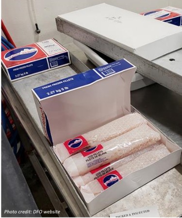 Cod fillets packaged in plastic with a red, blue, and white logo with the text Fogo Island Co-operative Society Ltd.
