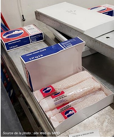 Filets de morue emballés dans du plastique avec un logo rouge, bleu et blanc avec le texte Fogo Island Co-operative Society Ltd.
