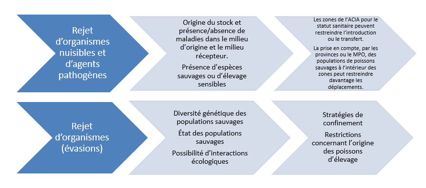 Graphique : Les séquences du Comité des introductions et des transferts.