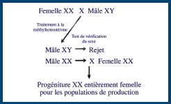 Fiches Techniques du Programme coopératif de recherche et développement en aquaculture -1
