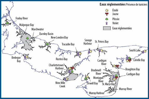 Fiches techniques du Programme coopératif de recherche et développement en aquaculture (PCRDA) Fiche 6