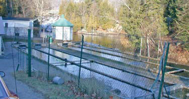 Bassin commercial à la pisciculture Mont-Tremblant.