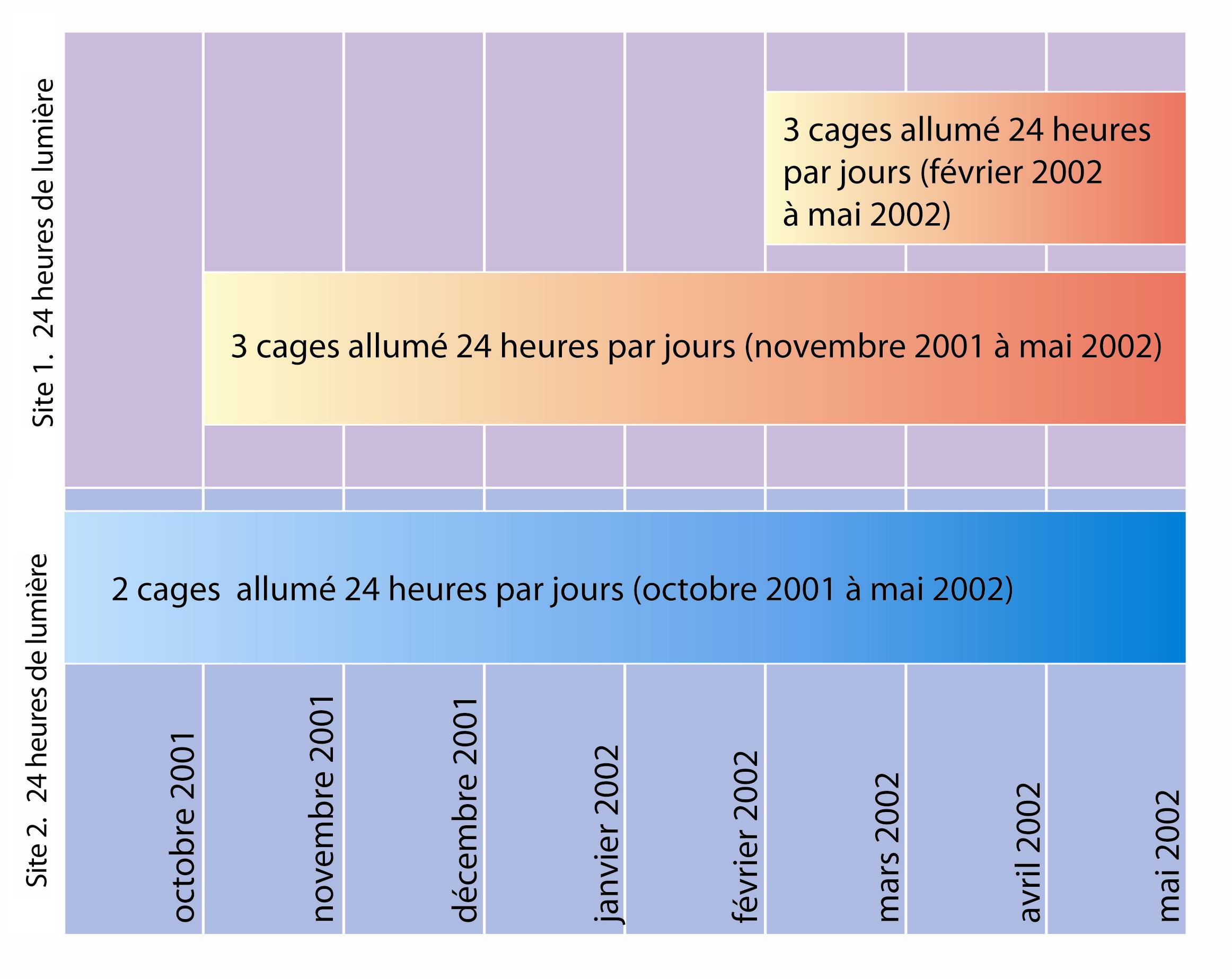 Chronologie indiquant numéro des mois que les cages d'étude ont été exposées à 24 heures de lumière.