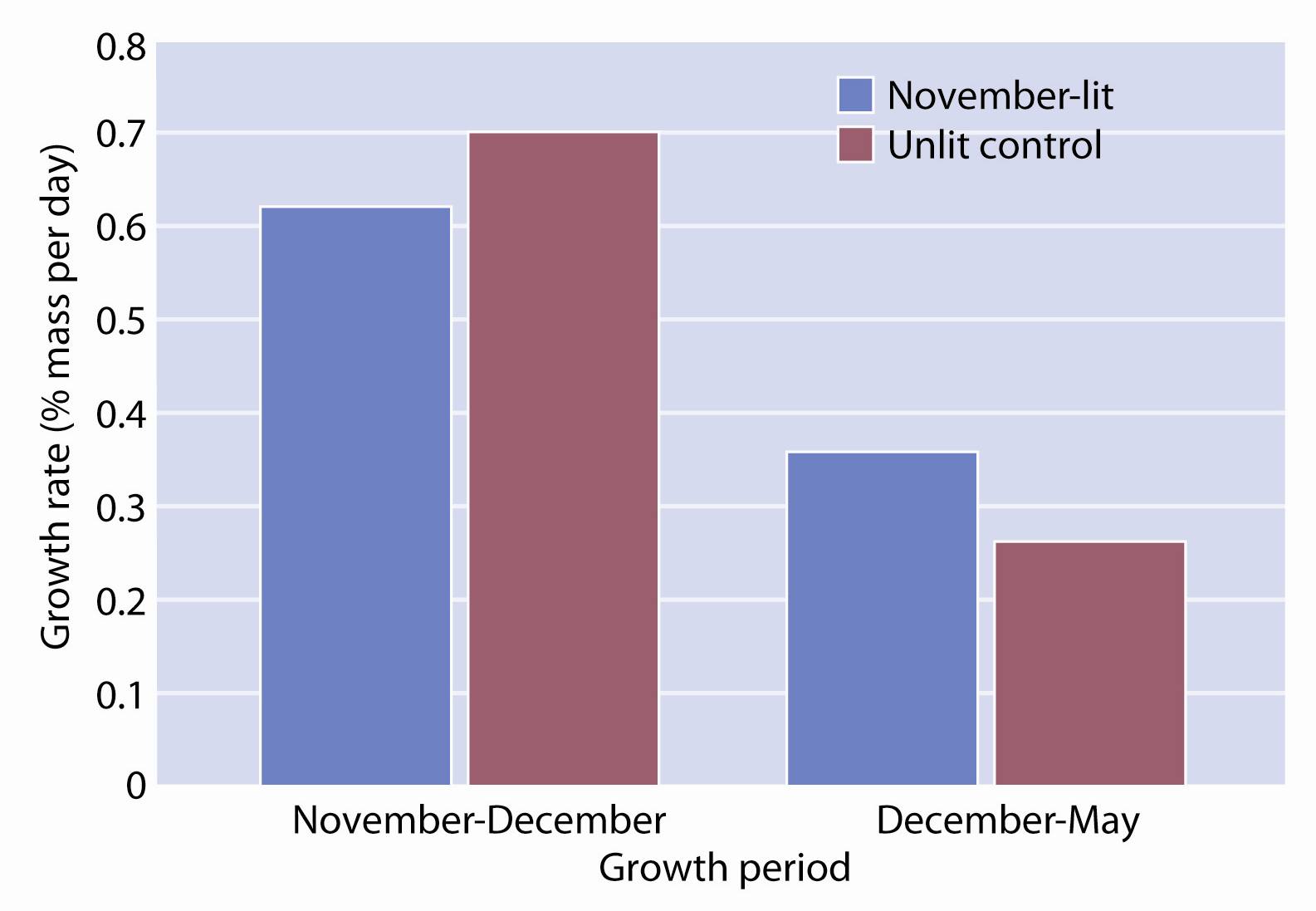 Comparison of growth rates between salmon sampled (video measurements) from unlit and November-lit cages on Site #1.